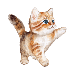 productos para gatos