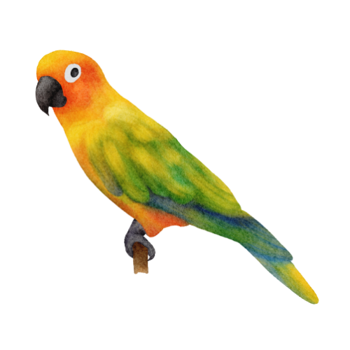 productos para pájaros