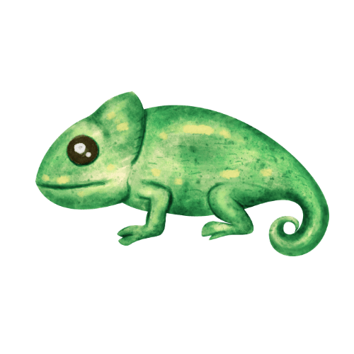 productos para reptiles