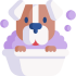 dog.png dog.png